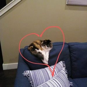 Meet your Posher, Dawna